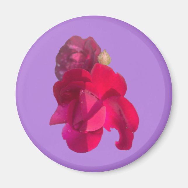 IMÁN ROSA E (Frente)