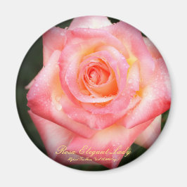 Imán Rosa Elegant Lady：Round Magnet