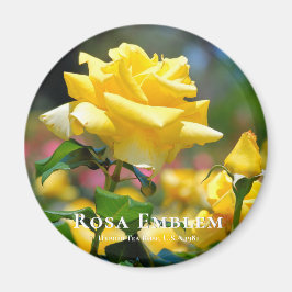 Imán Rosa Emblem