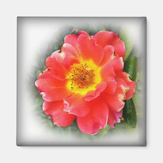 Imán Rosa en otoño (Frente)