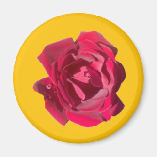 IMÁN ROSA F