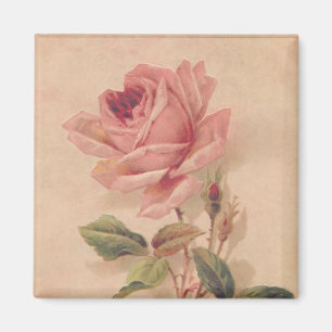 Imán Rosa francés del Victorian subió