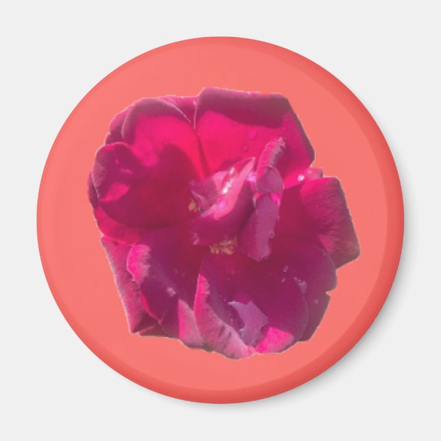 IMÁN ROSA G (Frente)