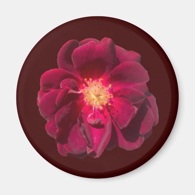 IMÁN ROSA H (Frente)