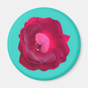 IMÁN ROSA I