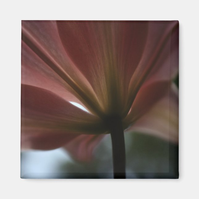 Imán Rosa Lady (Frente)