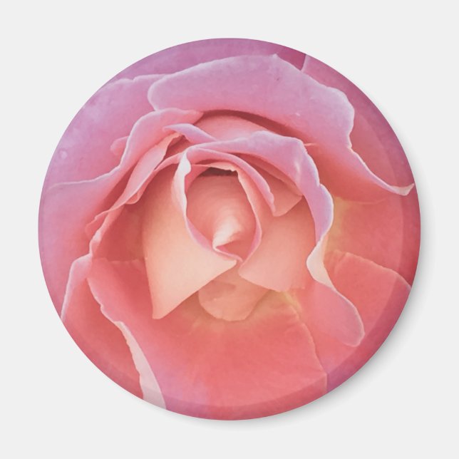 Imán Rosa lúgubre (Frente)