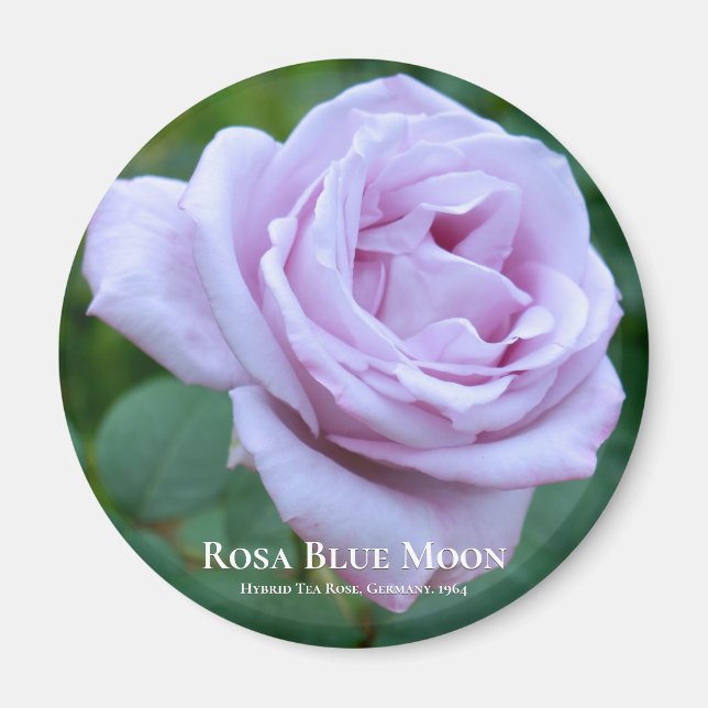 Imán Rosa Luna Azul (Frente)