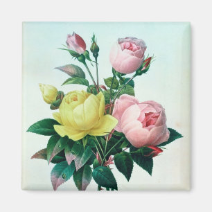 Imán Rosa Lutea y Rosa Indica