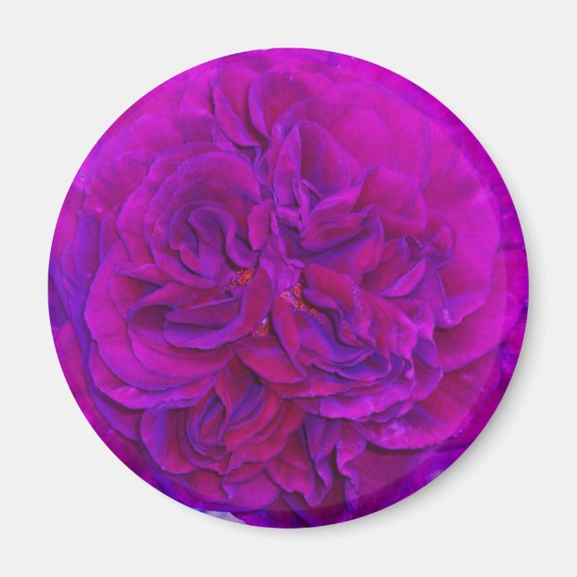 Imán Rosa Magenta Puff (Frente)