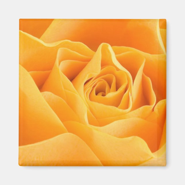 Imán Rosa naranja (Frente)