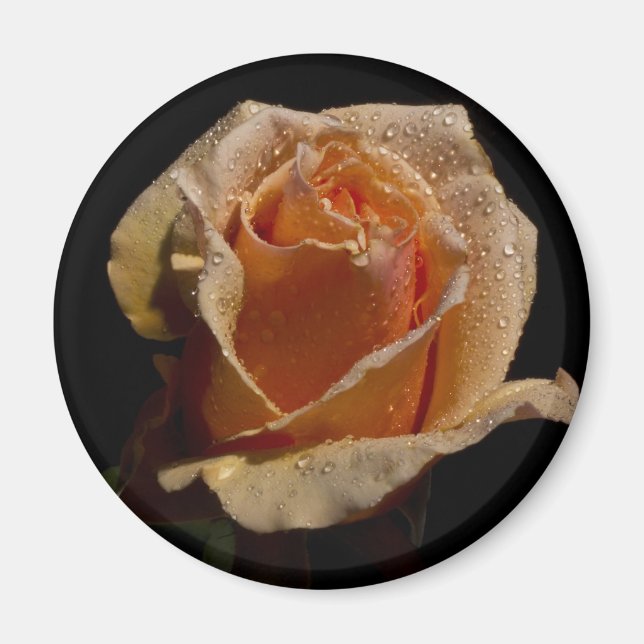 IMÁN ROSA NARANJA 1 (Frente)