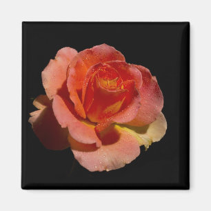 IMÁN ROSA NARANJA 2