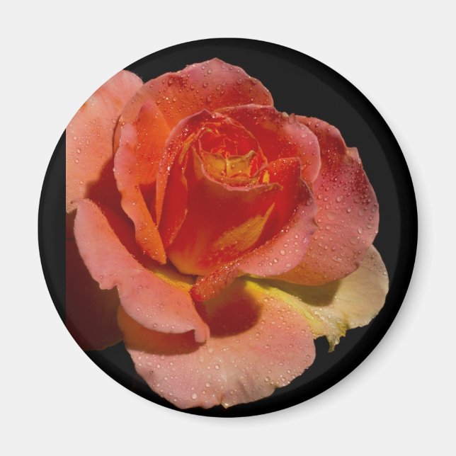 IMÁN ROSA NARANJA 2 (Frente)