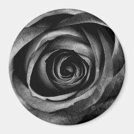 Imán Rosa negro Flor Flor Vintage decorativo floral