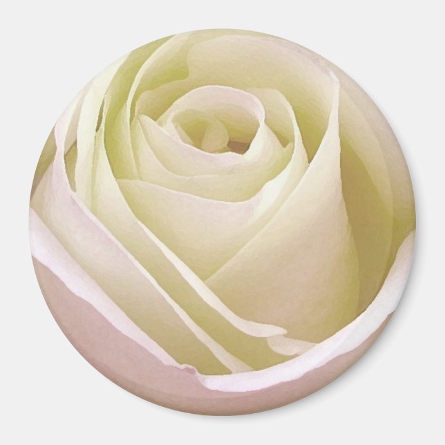 Imán Rosa Nupcial Blanca (Frente)