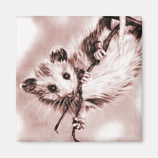 Imán Rosa Opossum Magnet