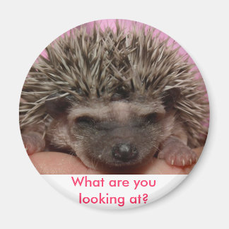 Imán rosa oscuro 3, ¿qué estás mirando?