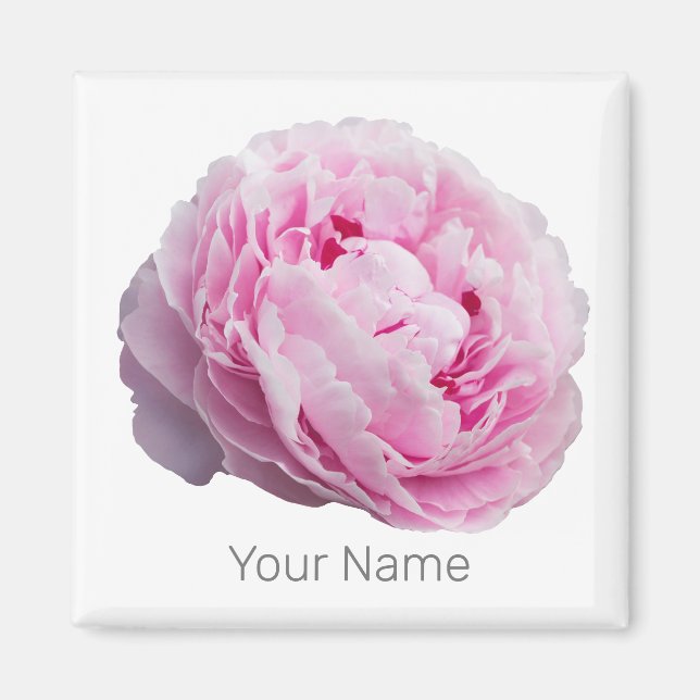 Imán Rosa Peony Blossom Para Flor Y Amante De Jardín (Frente)