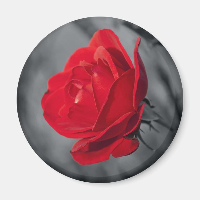 Imán Rosa Roja (Frente)
