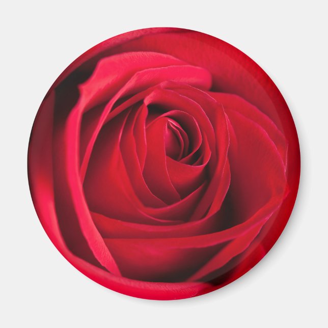 Imán Rosa Roja (Frente)