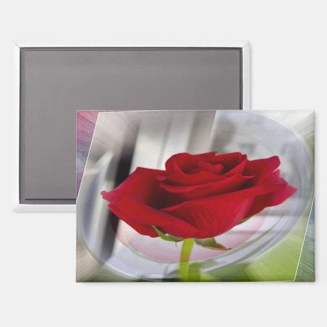 Imán Rosa roja 2 (Anverso/Reverso)
