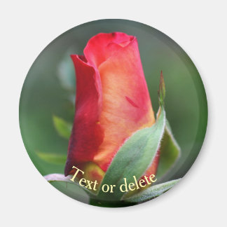 Imán Rosa Roja Amarilla Personalizada Flor Capullo
