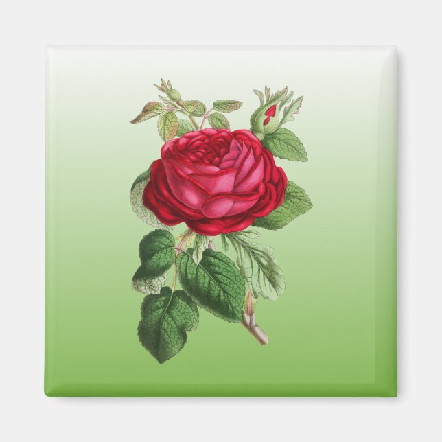 Imán Rosa roja con color gradiente (Frente)