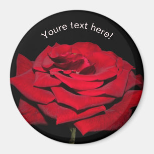 Imán Rosa Roja - Negro