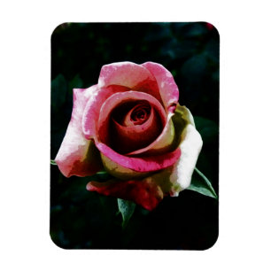 Imán Rosa roja pintada al óleo