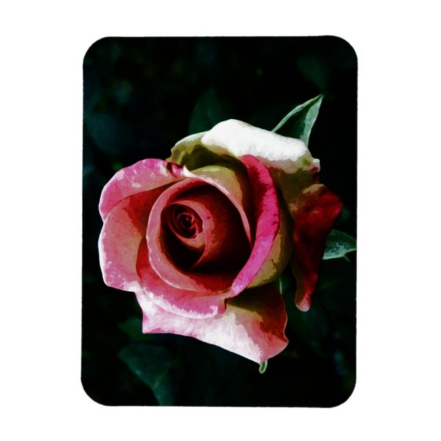 Imán Rosa roja pintada de petróleo (Vertical)