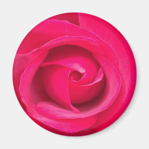 Imán Rosa Roja Romántica