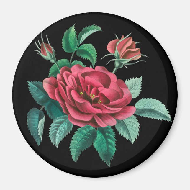 Imán Rosa roja vintage (Frente)