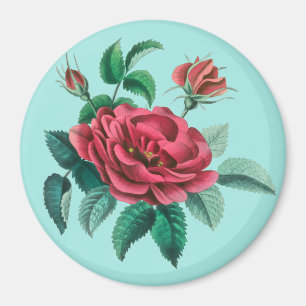 Imán Rosa roja vintage