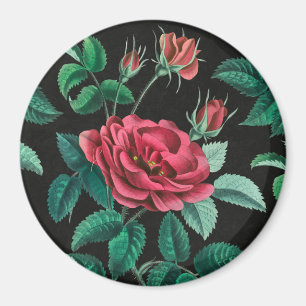 Imán Rosa roja vintage