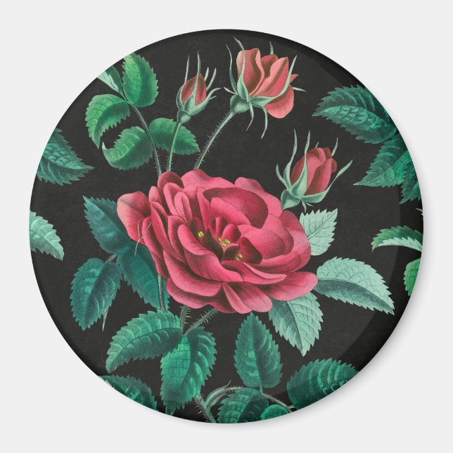 Imán Rosa roja vintage (Frente)