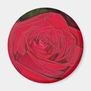 Imán Rosa Rojo Radiante