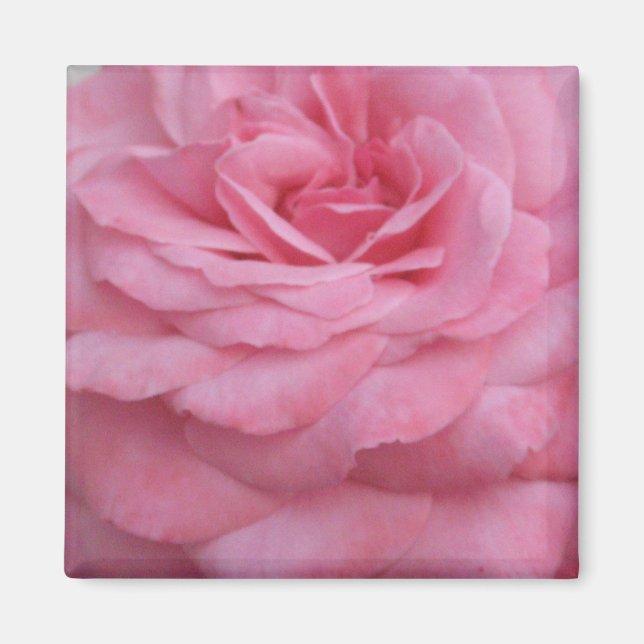 Imán rosa rosa (Frente)