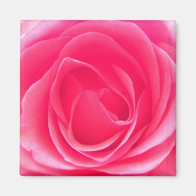 Imán Rosa rosa (Frente)