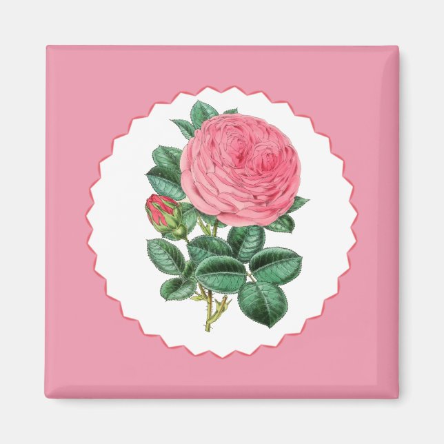 Imán Rosa rosa (Frente)