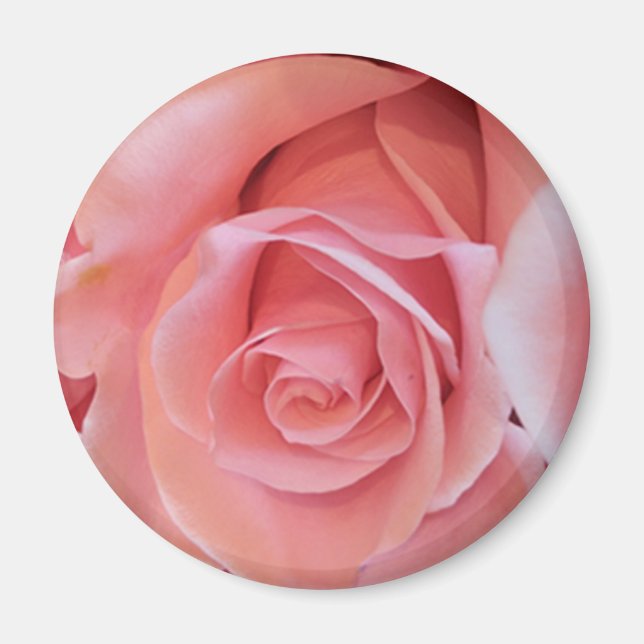 Imán Rosa rosa (Frente)