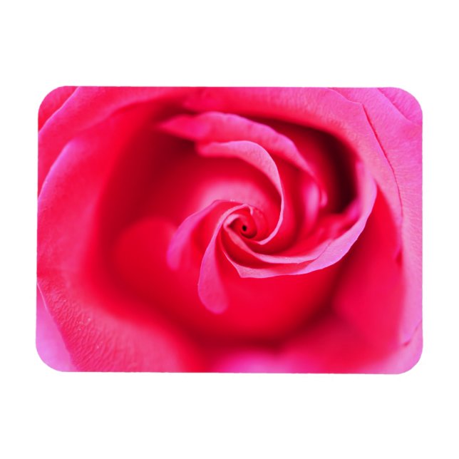 Imán rosa rosa (Horizontal)