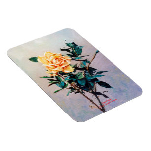 Imán Rosa/Rosa