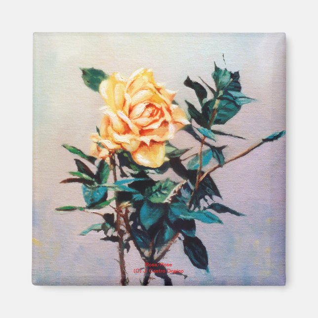 Imán Rosa/Rosa (Frente)