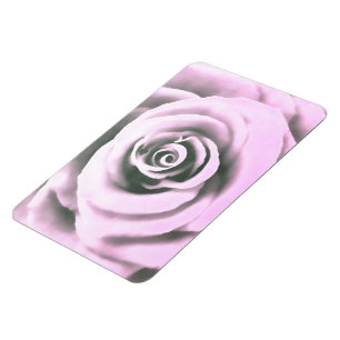 Imán Rosa rosa artístico rb