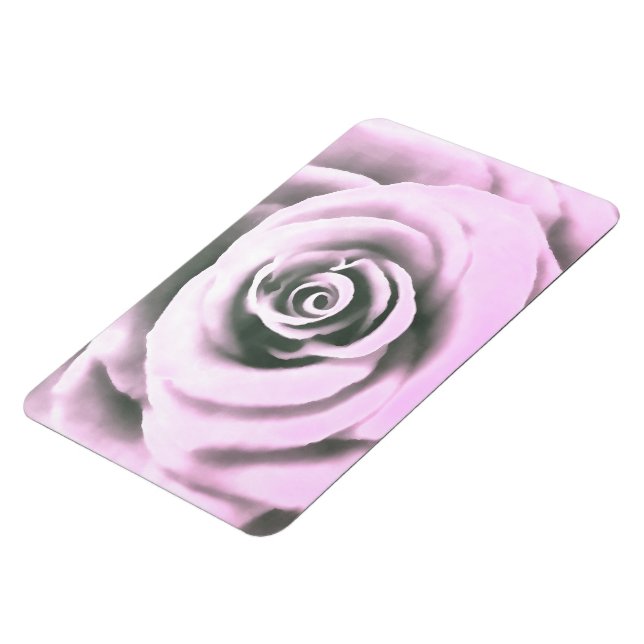 Imán Rosa rosa artístico rb (Lado Izquierdo)