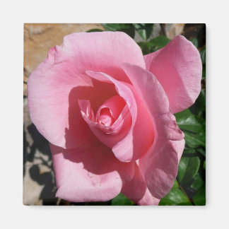 Imán Rosa rosa III Jardín Floral