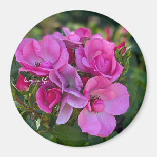 Imán Rosa Rosa Lavanda