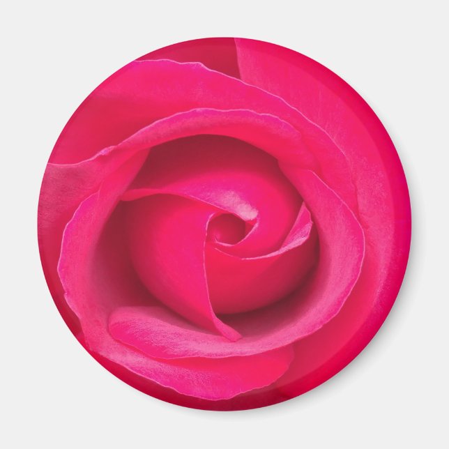 Imán Rosa Rosa Roja Romántica (Frente)