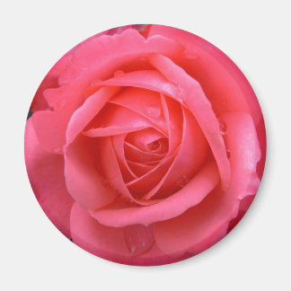 Imán rosa Rosa Rosa Regalos Rosa Rosa Rosa Rosado 